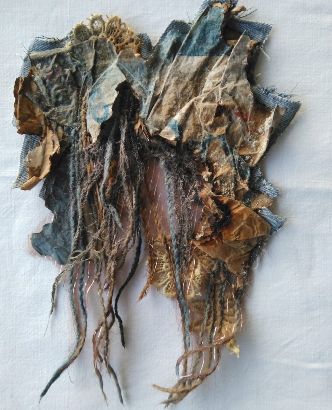 Re-rooting — Celia de Villiers